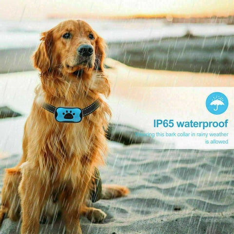 Image of No Shock Smart Anti Bark Collar