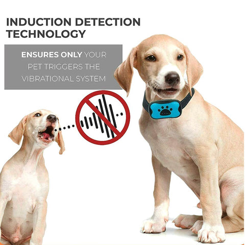 Image of No Shock Smart Anti Bark Collar