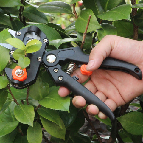 Image of Grafting Pruner Garden Tool Branch Cutter Secateur Pruning Plant Shears Boxes Fruit Tree Scissor Chopper Vaccination Cut