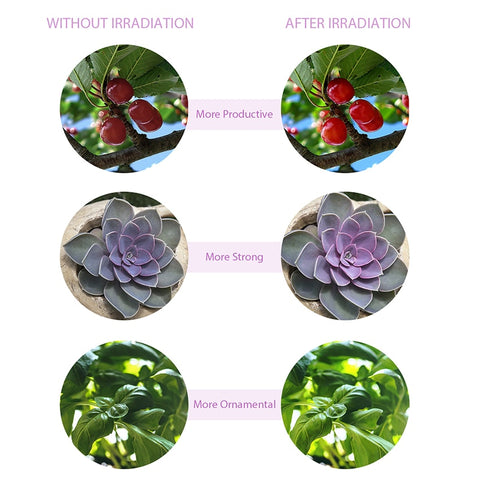 Image of LED Grow Light Full Spectrum  With Control